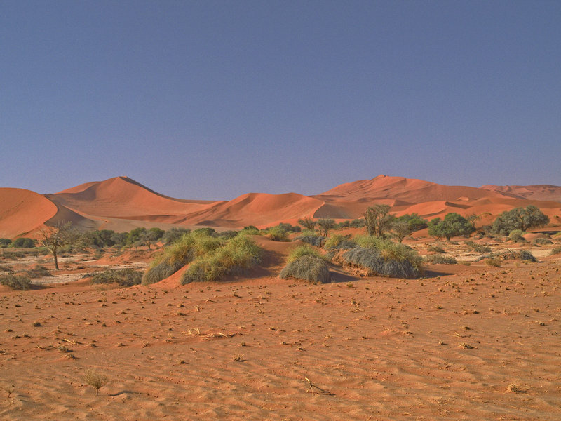 Sossusvlei